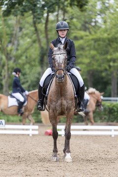 Bild 51 - Pony Akademie Turnier